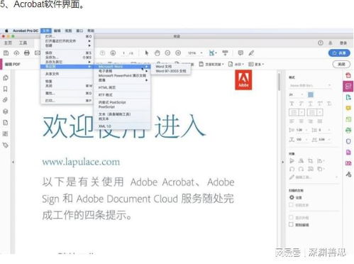 PDF表格制作與Acrobat軟件下載 全面玩轉(zhuǎn)數(shù)據(jù)處理與存儲支持服務